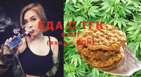 индика Абинск