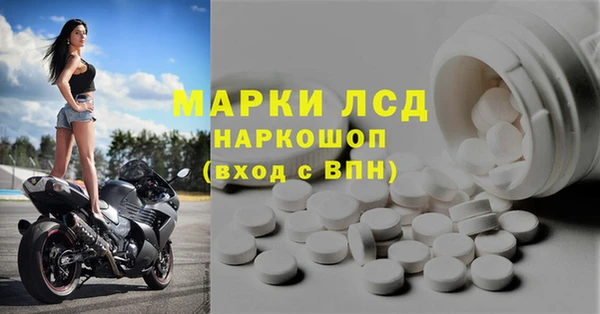 индика Абинск