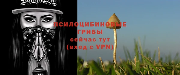 индика Абинск