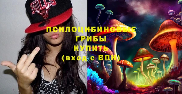спиды Абаза