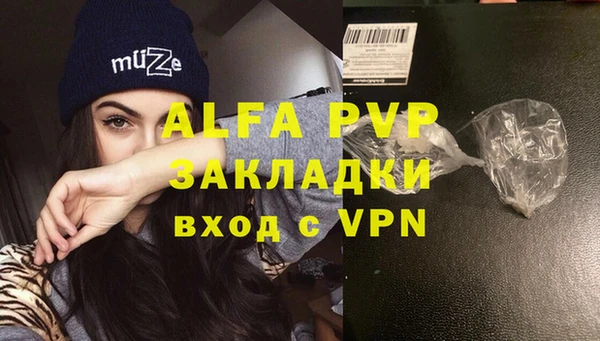 индика Абинск