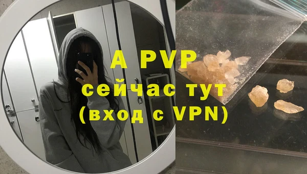 спиды Абаза
