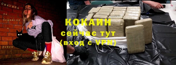 индика Абинск