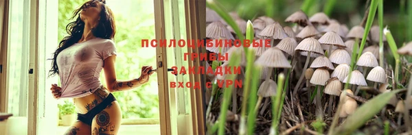 индика Абинск