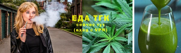 индика Абинск