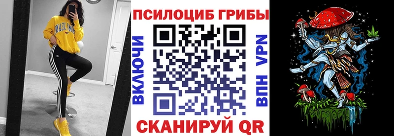Галлюциногенные грибы Psilocybe Сызрань