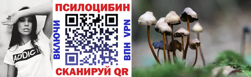 blacksprut сайт  Сызрань  Псилоцибиновые грибы Psilocybe  как найти закладки 